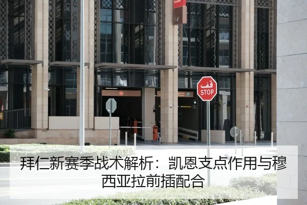 拜仁新赛季战术解析：凯恩支点作用与穆西亚拉前插配合