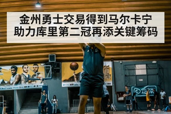 金州勇士交易得到马尔卡宁 助力库里第二冠再添关键筹码